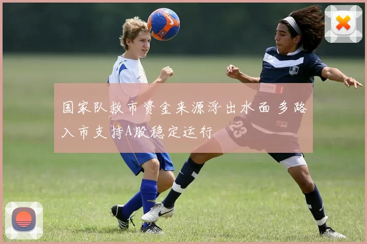 国家队救市资金来源浮出水面 多路入市支持A股稳定运行
