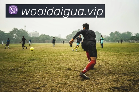 多媒体互动体验